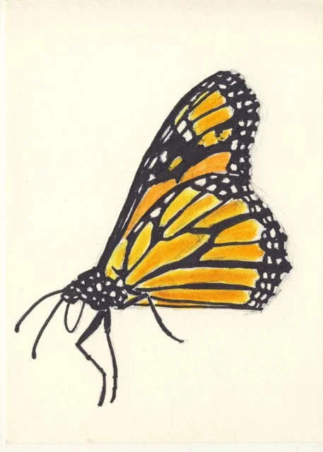   Monarch , 2002, marker and pen on paper 
