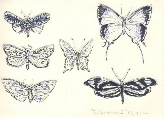   Specimens I , 2003, pen on paper 