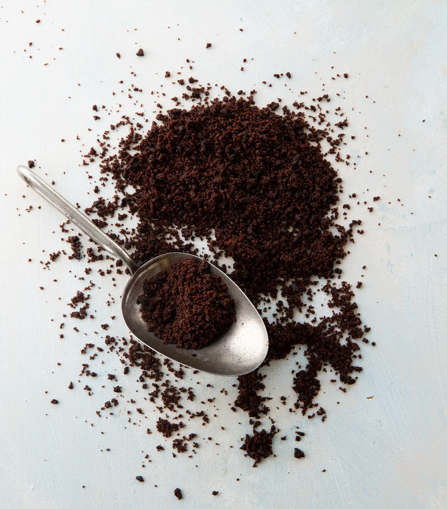Chocolate Cookie.jpg