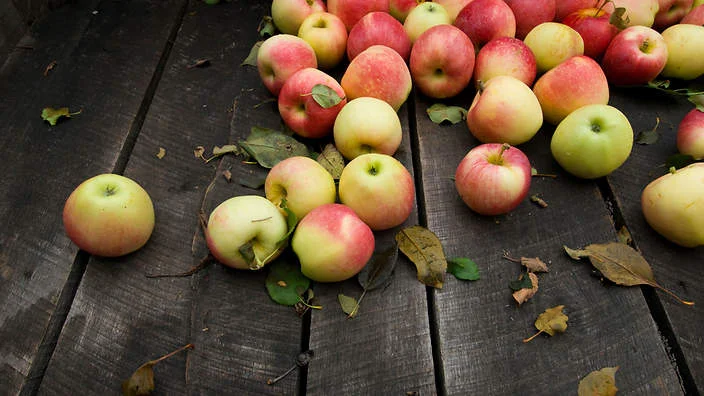 ApplesWood.jpg