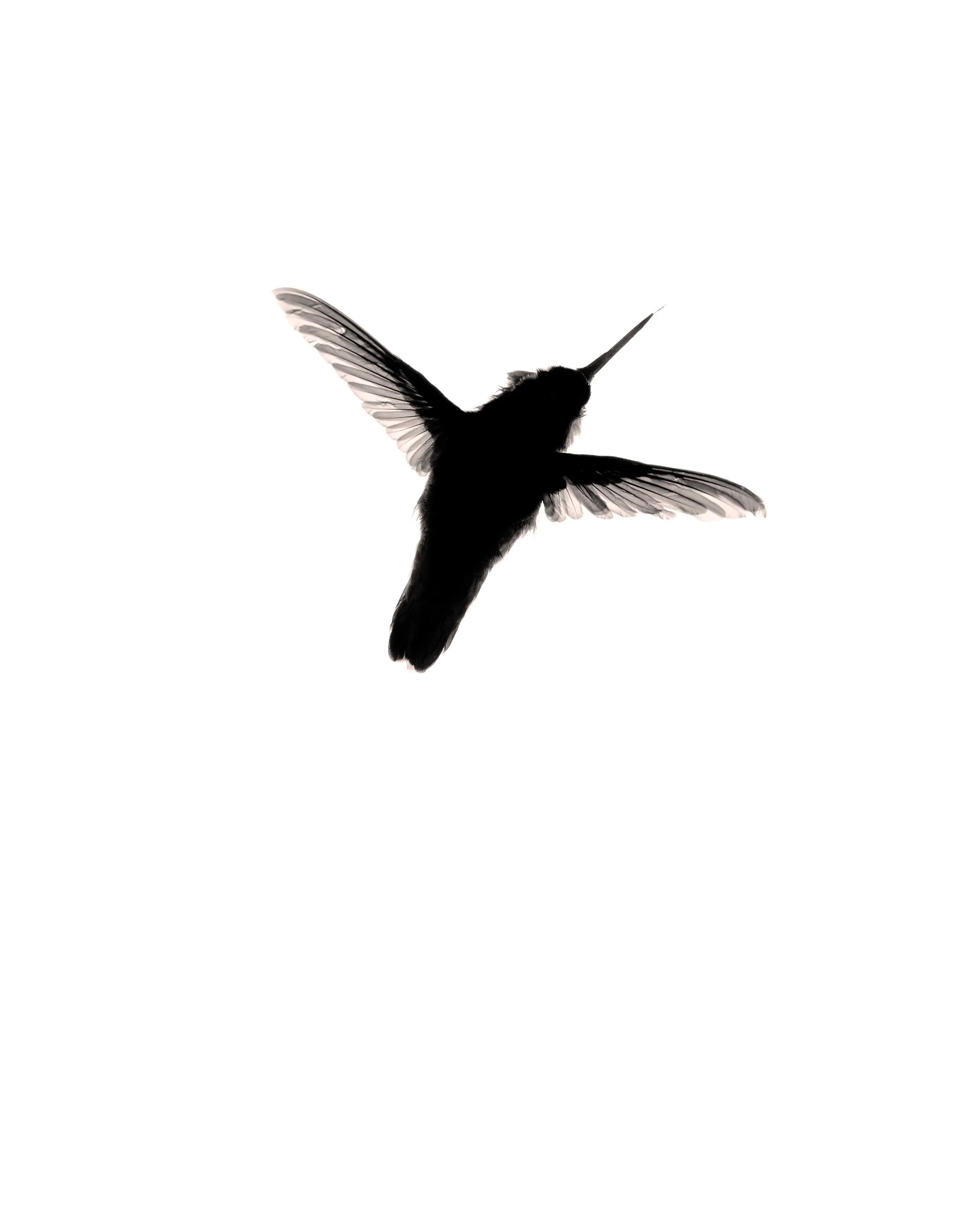 Return