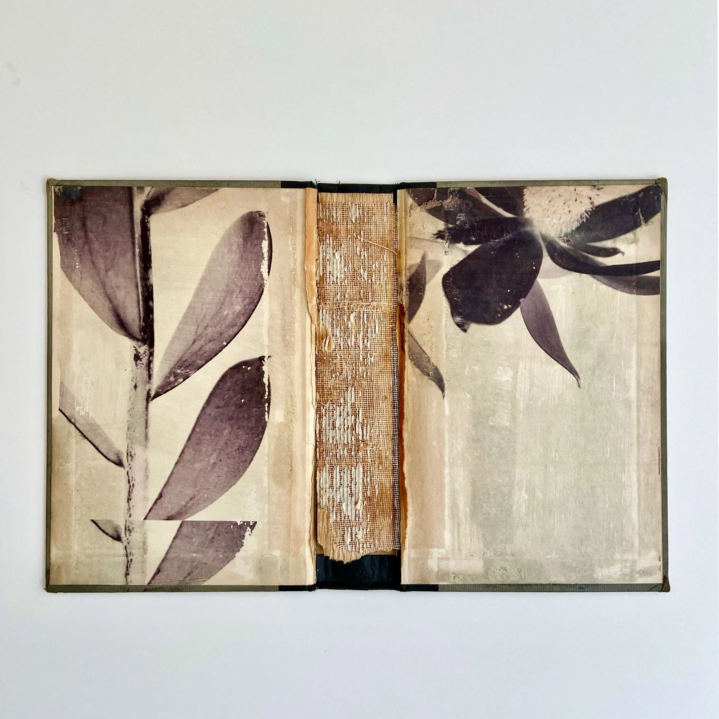 Flora