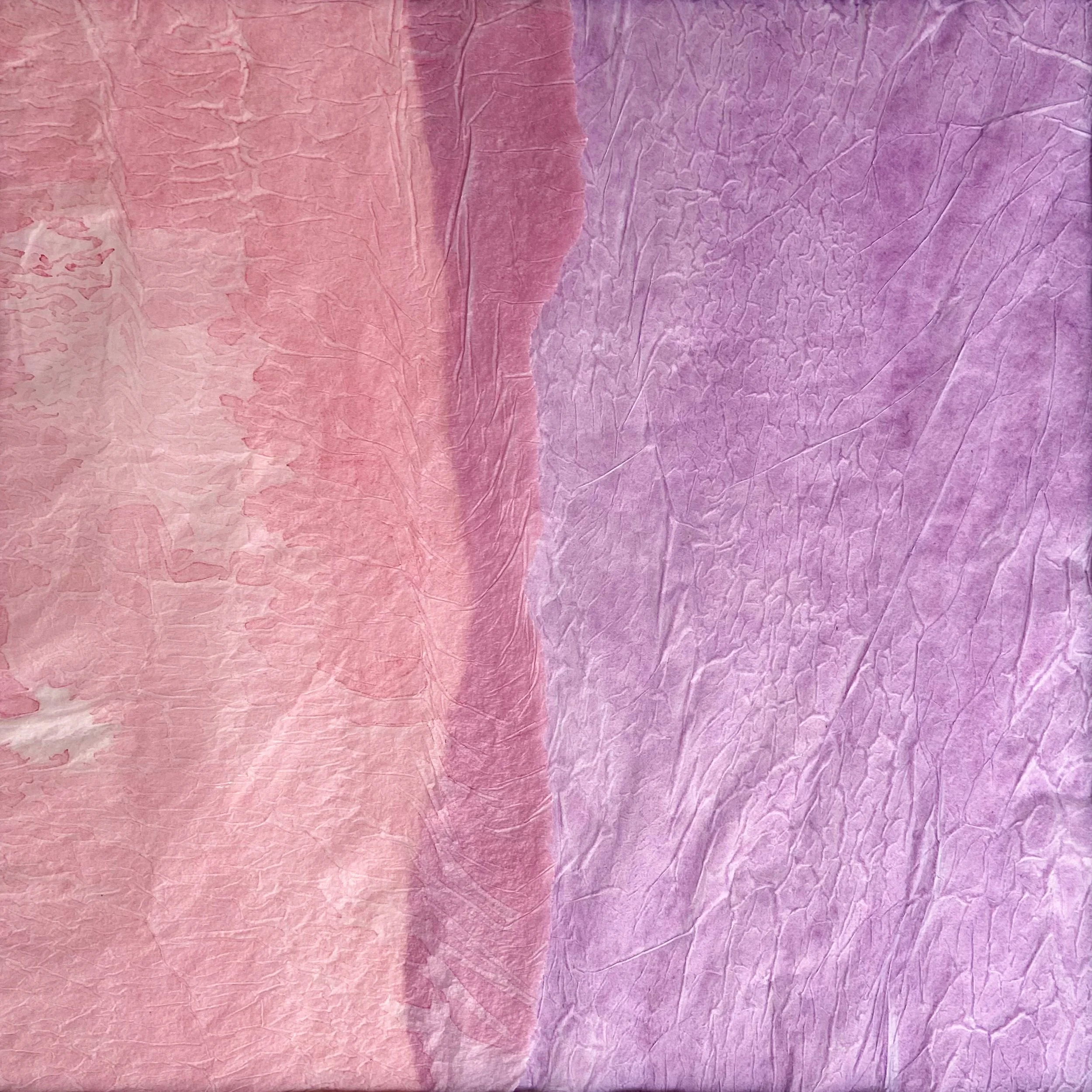 NLNM | Pink + Lavender