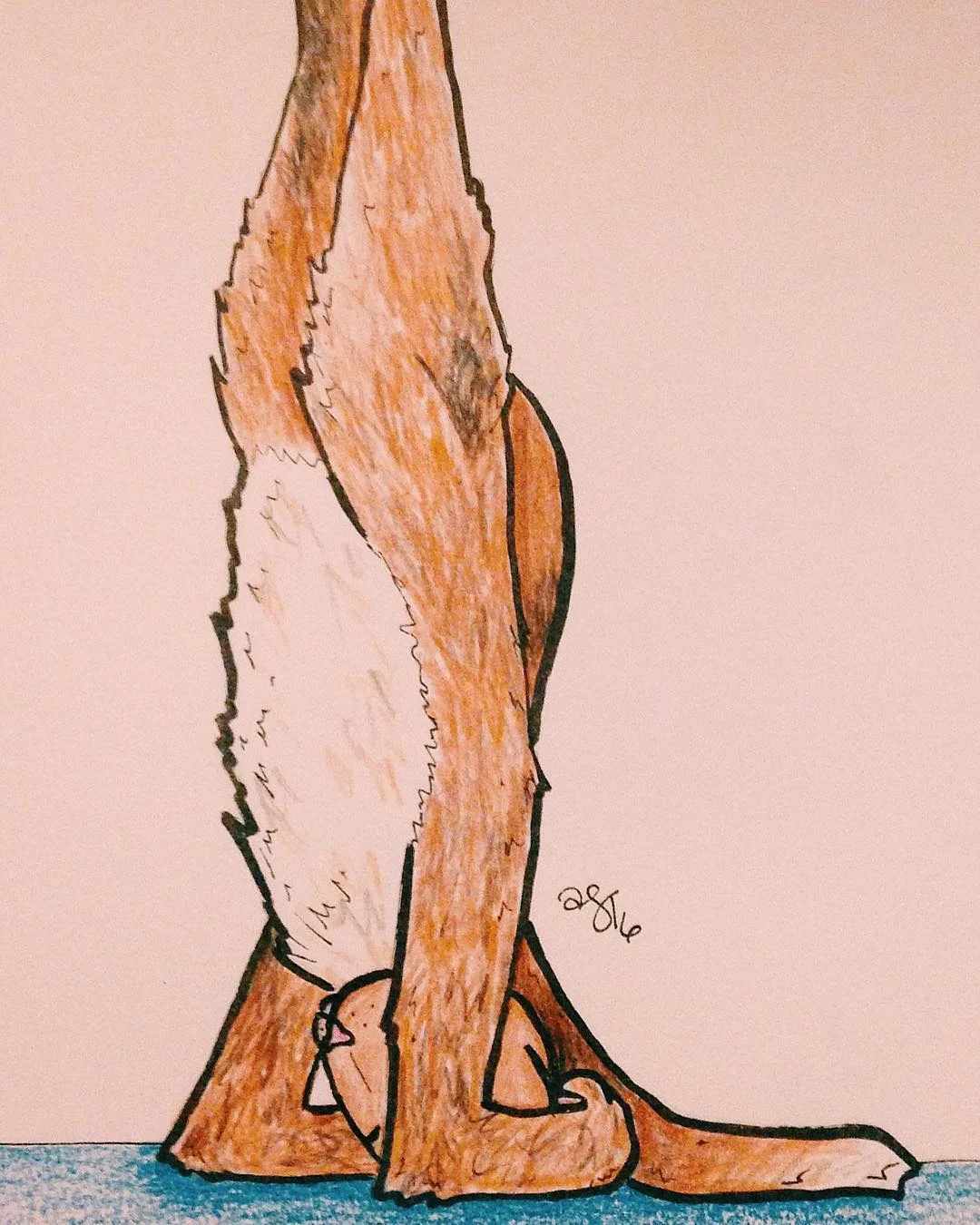 warming up with a yoga cat 🐱#drawing #art #cats #sketch #coloredpencil #micron #vscocam