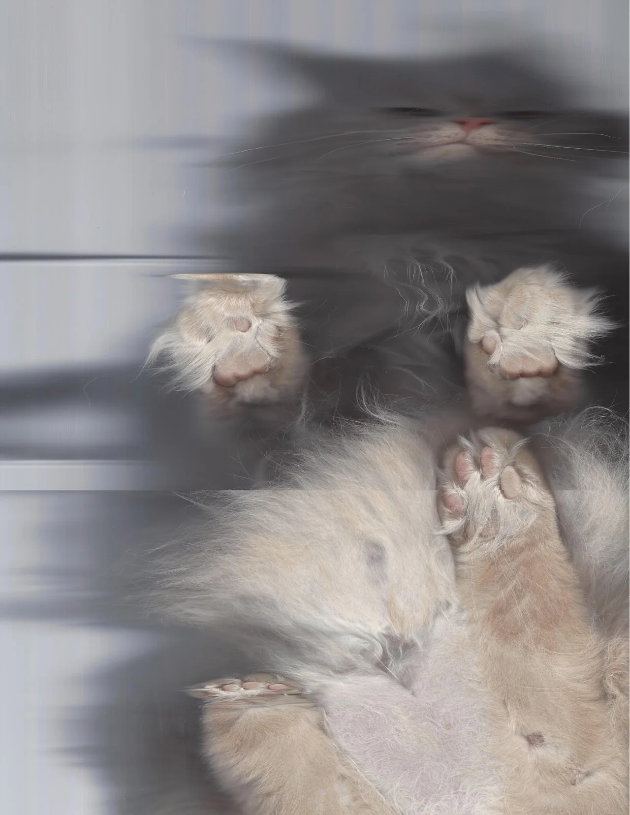 thecatscan:

Kevin may look like a demon here, but he is actually a rockstar.