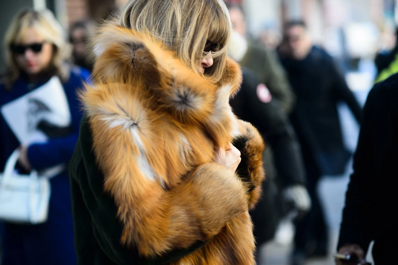 wmagazine:

On the Streets of New York Fashion Week Fall 2015
Anna Wintour photographed by Adam Katz Sinding.
