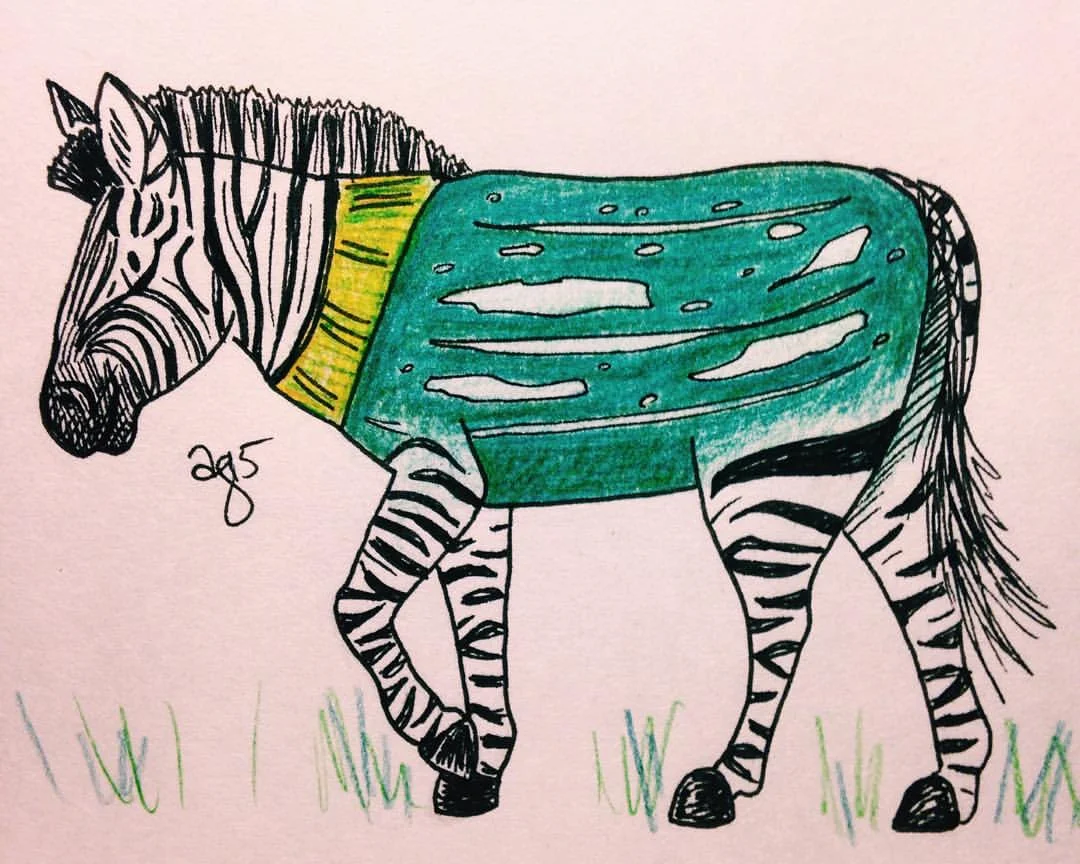Zucchini Zebra #inktober #✒️