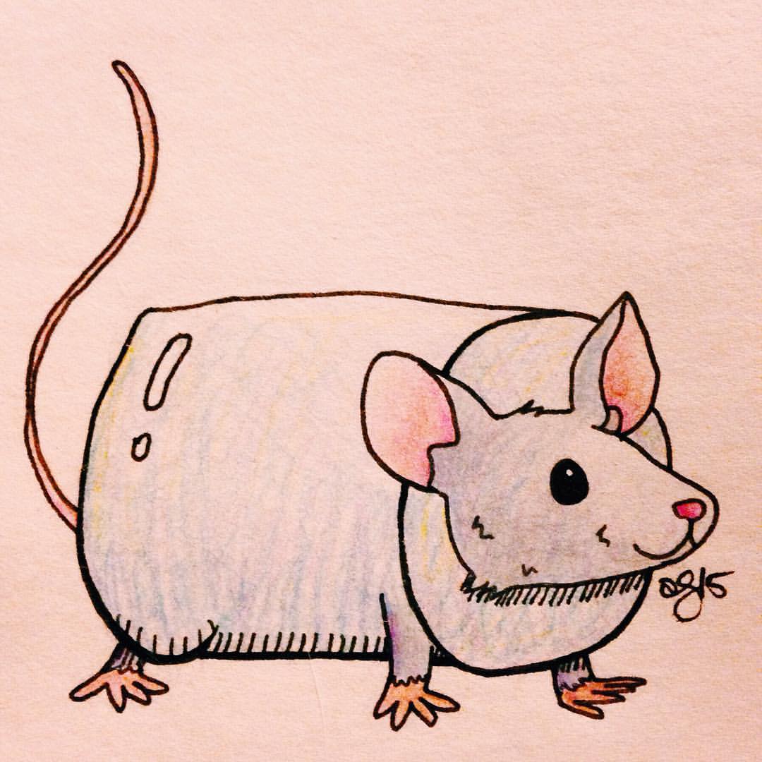 Marshmallow Mouse #inktober #✒️ #micron #prismacolor #🐀 #🍬