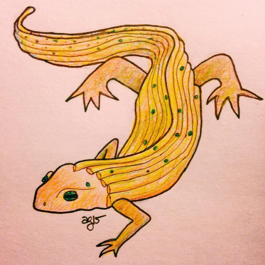 Noodle Newt (newts look so serious) #inktober #✒️ #🍜