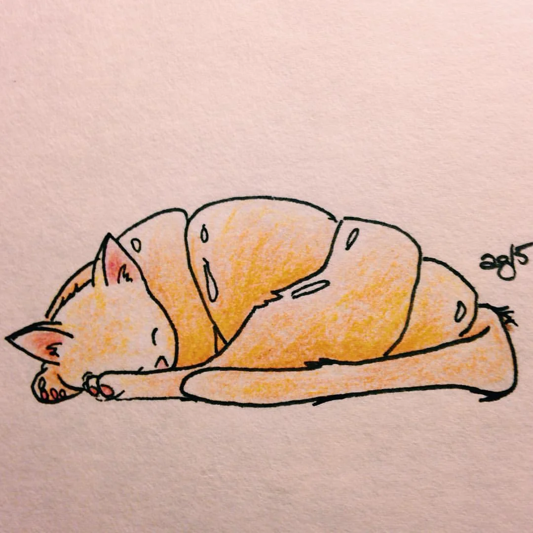 Croissant Cat #alliteration #animals #edibles #artsnacks #inktober #✒️ #🐱️