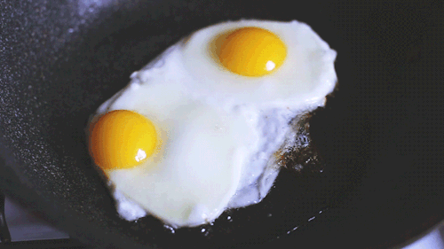 tumblr_nmexz0a5Ds1qlq9poo9_r1_500.gif