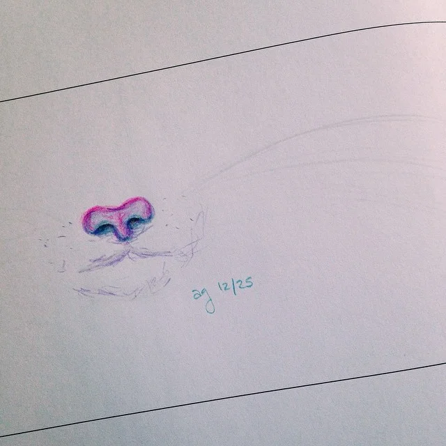 Cat whiskers #subtlety #642ThingsToDraw #VSCOcam
