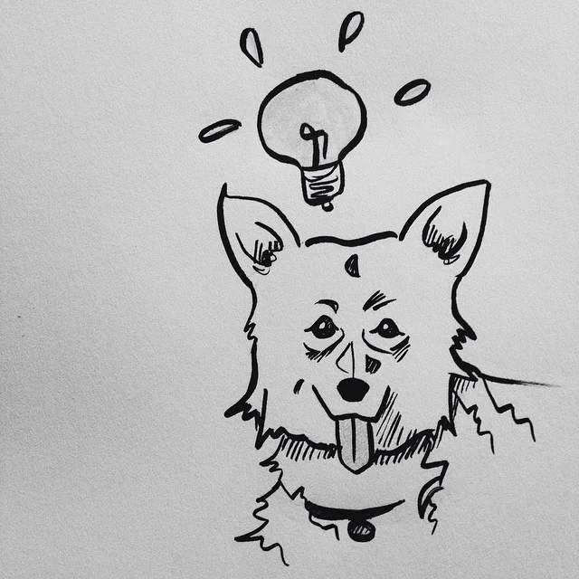 Ein!!! #inktober #cowboybebop #corgis #cartoons #vscocam #hashtag