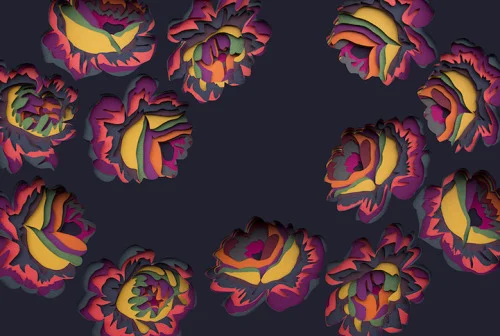 tumblr_n4ivjrgT6P1qlq9poo3_r1_500.jpg
