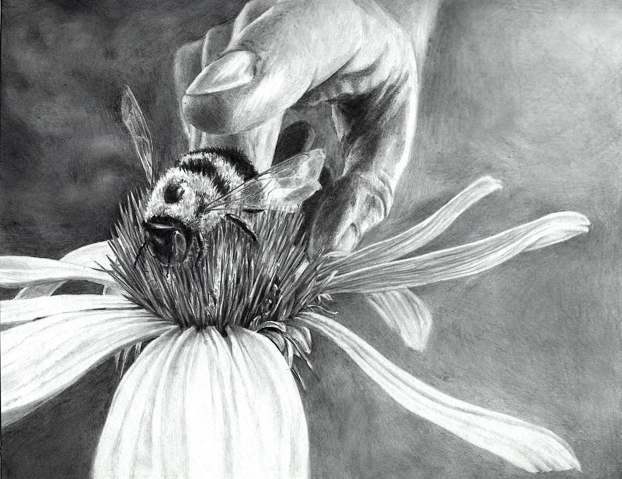 eatsleepdraw:

Bee Petting