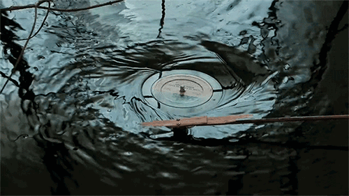 tumblr_n15wvpoBbQ1qa4iv8o3_500.gif