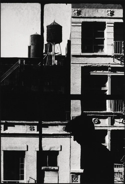 talent-only:

David Byrne