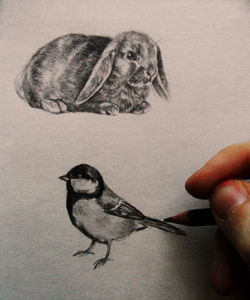 eatsleepdraw:

tumblr