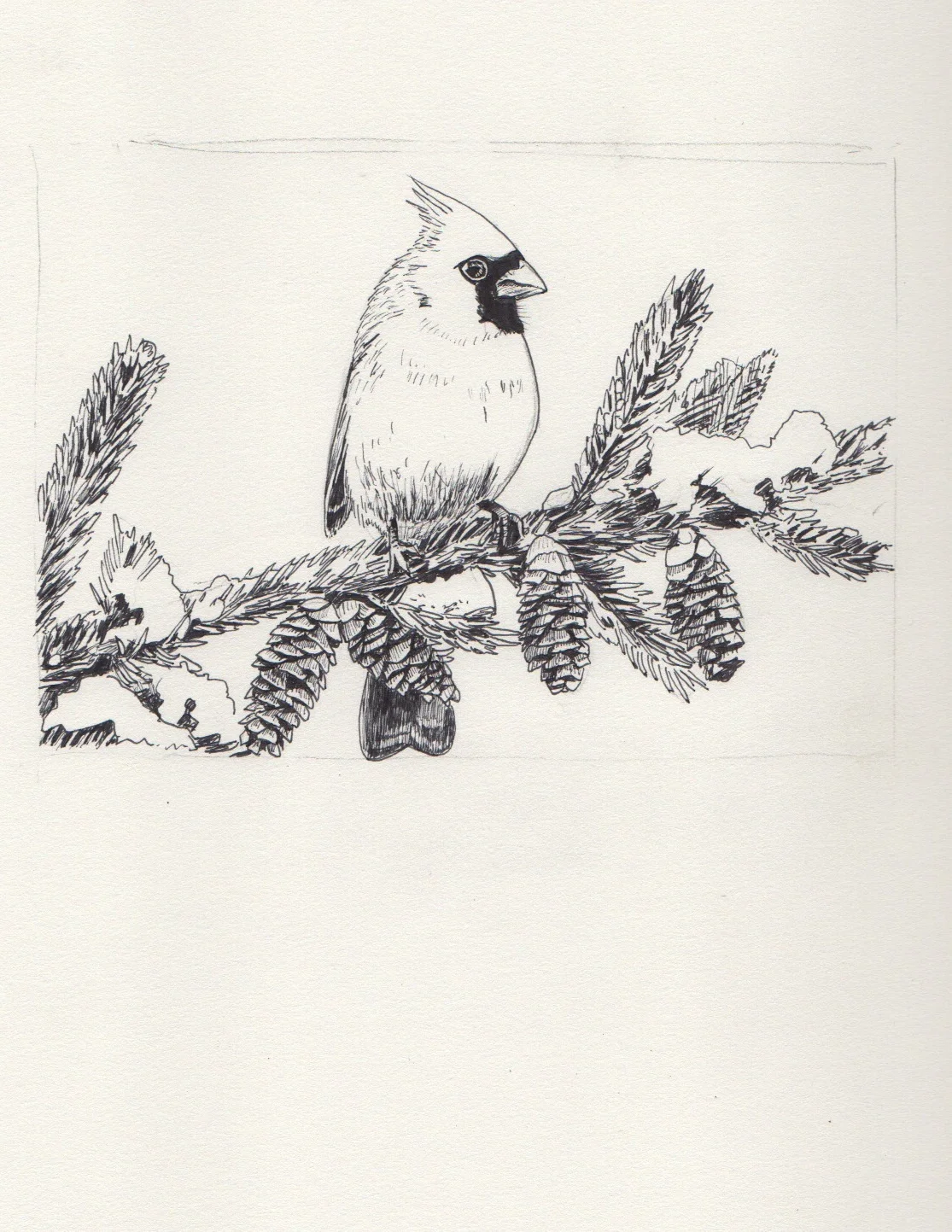 eatsleepdraw:

timschreder.tumblr.com