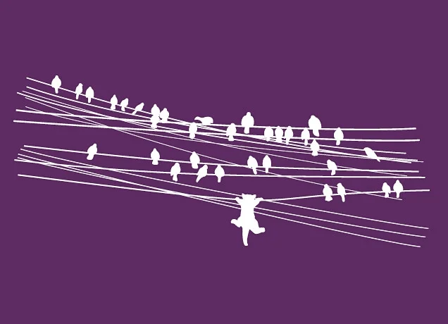 &ldquo;Ambition Killed the Cat&rdquo;
via Threadless