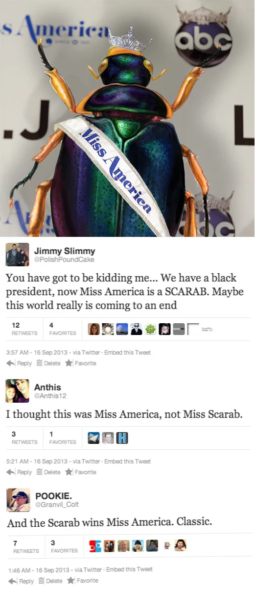 thejogging:

Miss America 2014, 2013
Photograph, public outrage
´ƒ´