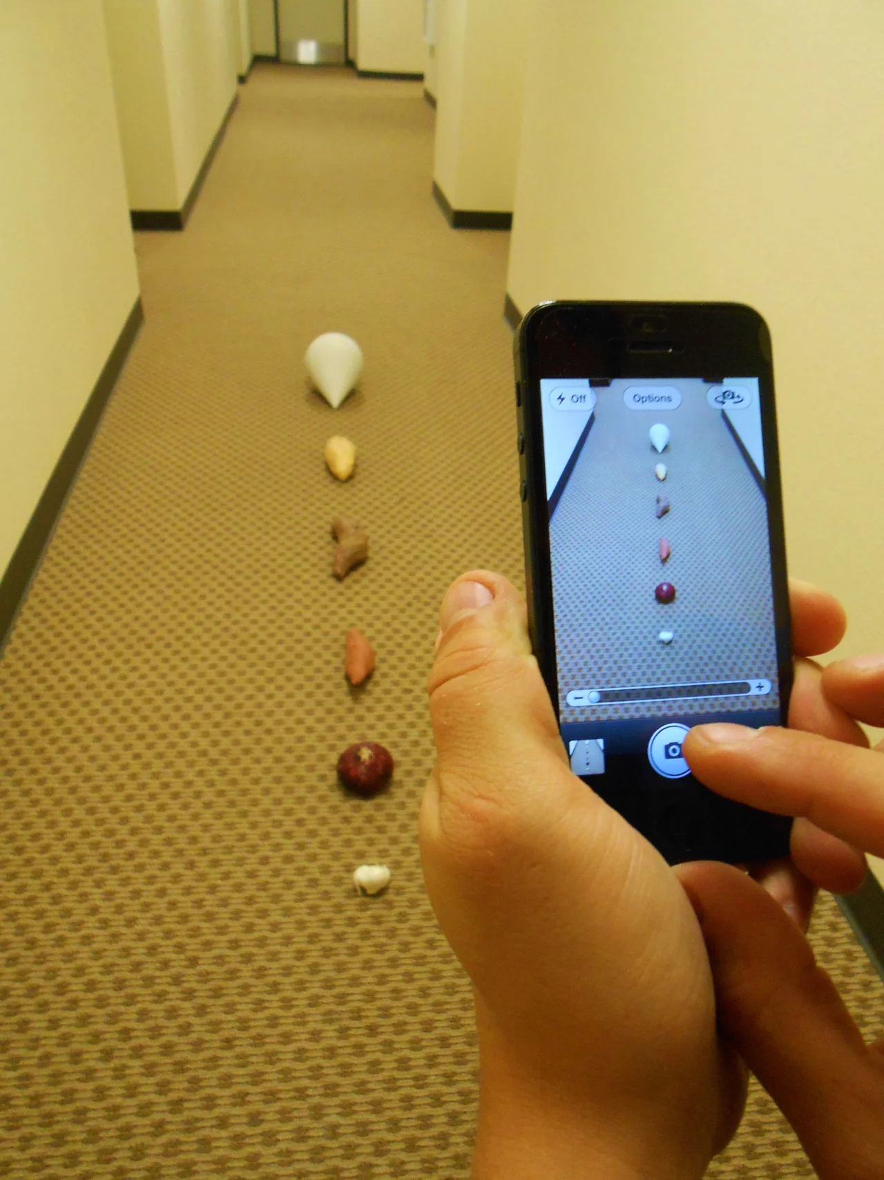 thejogging:

Billy Murray Paparazzi, 2013
Installation/Digital Photo
*