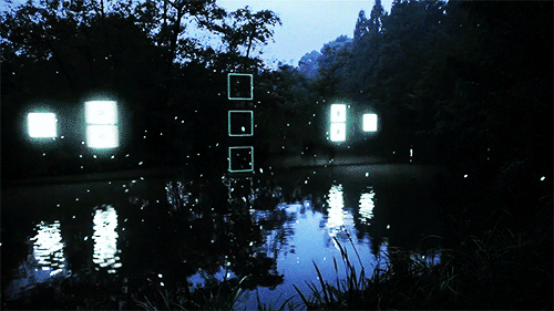 tumblr_mpuggr8WNQ1qztvpwo3_r2_500.gif