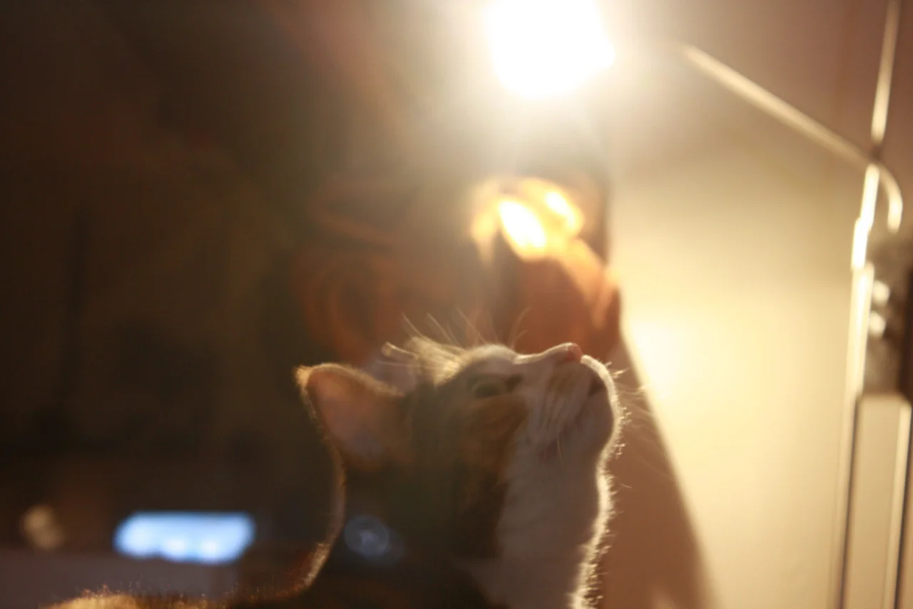 bglass:

Max, as directed by J. J. Abrams.