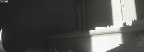 tumblr_mhiuxsgtbe1qb32uvo3_500.gif