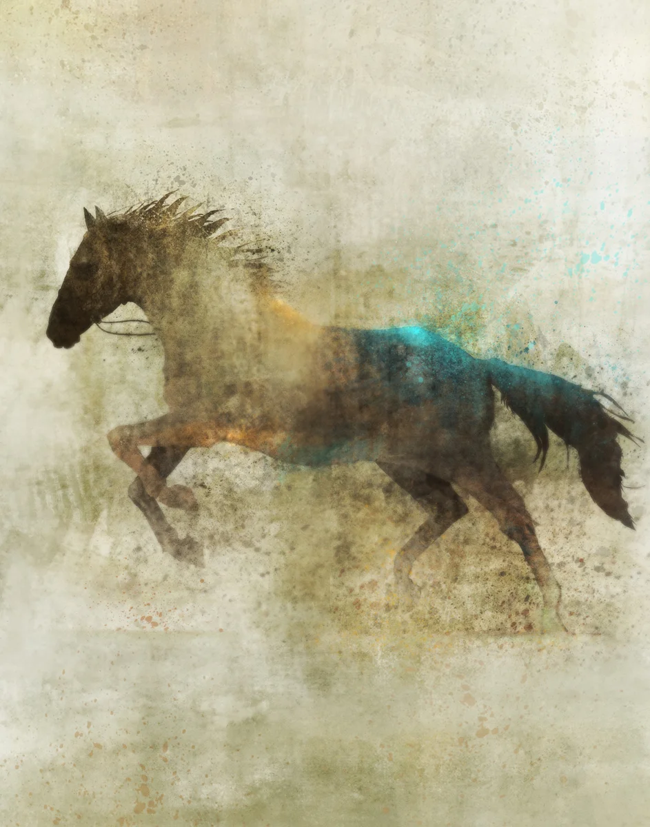 eatsleepdraw:

Ken RokoLone Star 03: Giclee Fine Art Print 11X14Please Check out more images from Etsy.com:http://www.etsy.com/shop/krokoart?section_id=12480547