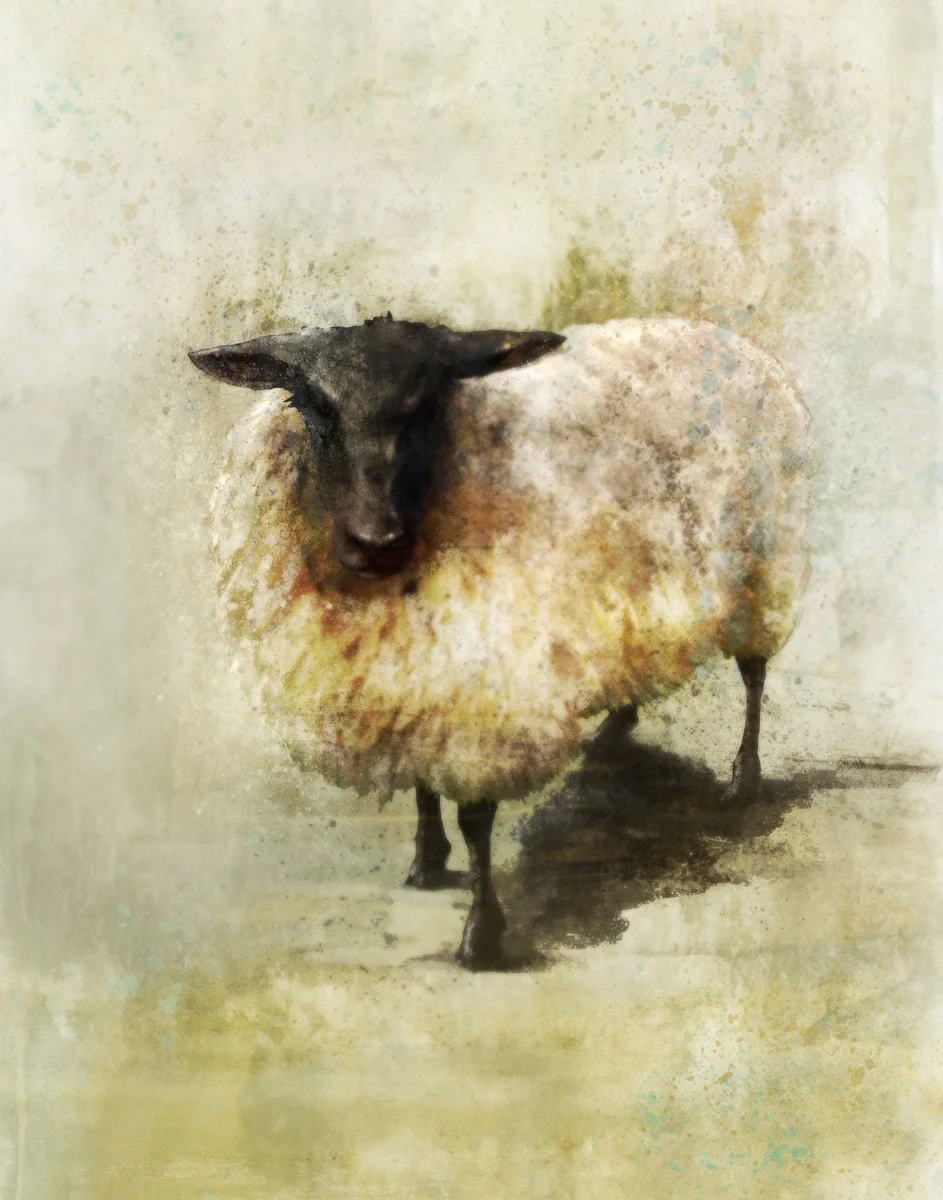eatsleepdraw:


Ken RokoBlack Sheep 01: Giclee Fine Art Print 11X14Please check out more images from FB Fan Page: 
http://www.facebook.com/pages/Art-by-Ken-Roko/394013960682876
Etsy.com:http://www.etsy.com/shop/krokoart?section_id=12474863Tumblr:htt…