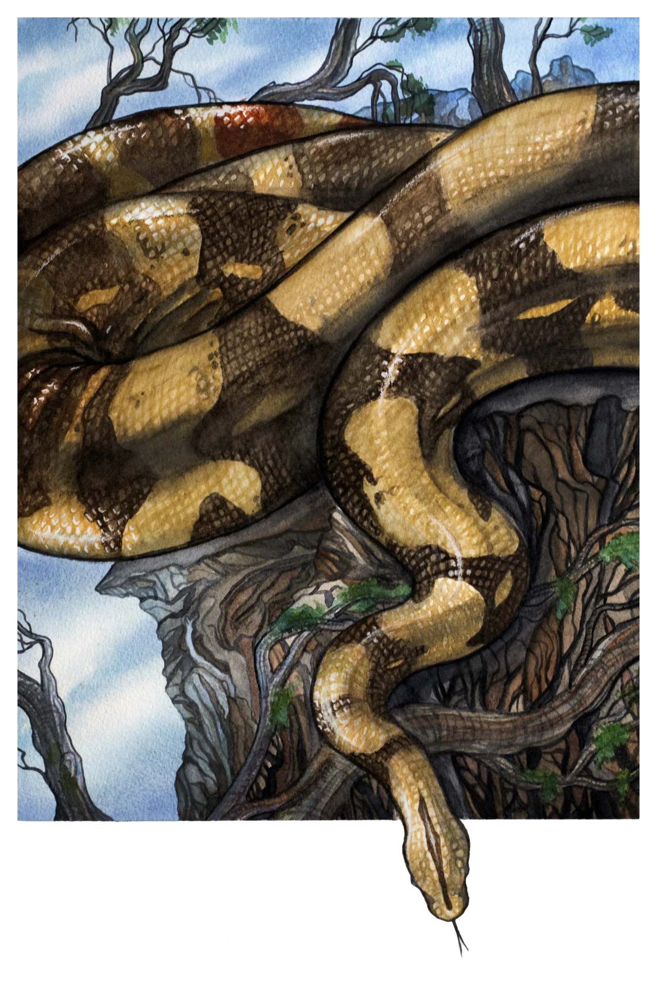 eatsleepdraw:

Final piece for the Natural History/Advertising project.