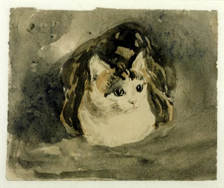 cavetocanvas:

Gwen John, Cat, c. 1904-08
From the Tate Gallery:

Gwen John adored her cats, and depicted them frequently. This one, a tortoiseshell named Edgar Quinet, appears in most of her cat drawings, sometimes with her kittens. The name was ta…