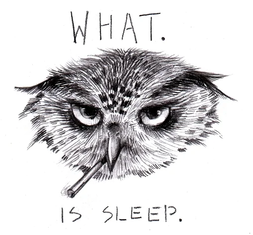 fyeahartstudentowl:

(mod note: !!!!!!!!!)