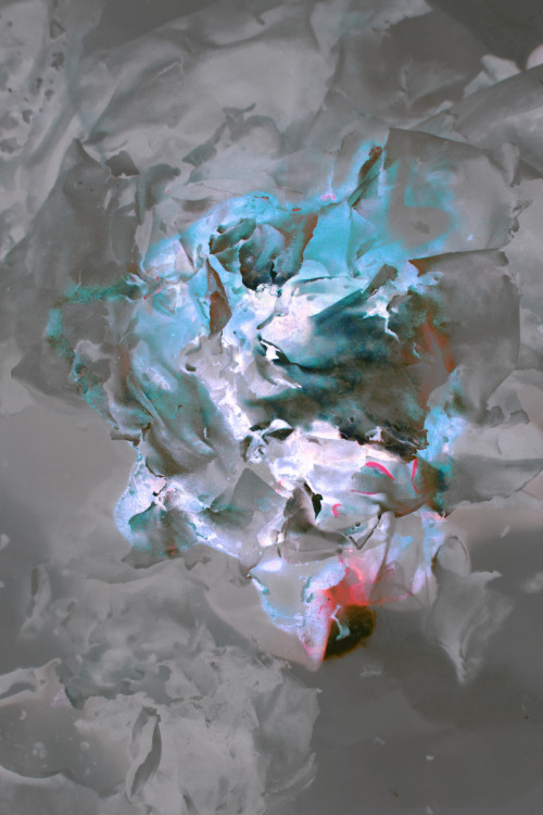 areaofinterest:

Michael Chase