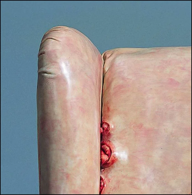 tumblr_mdr054LK3I1qavrxlo5_1280.jpg