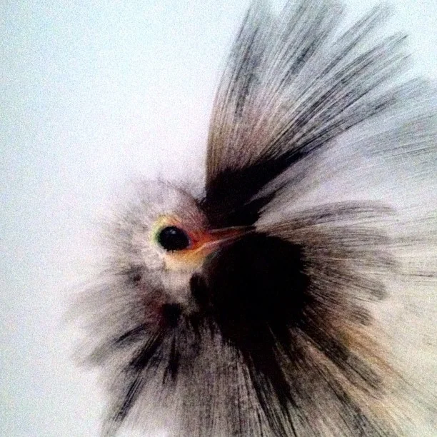 eatsleepdraw:

Abstract Bird. More on finesart.tumblr.com