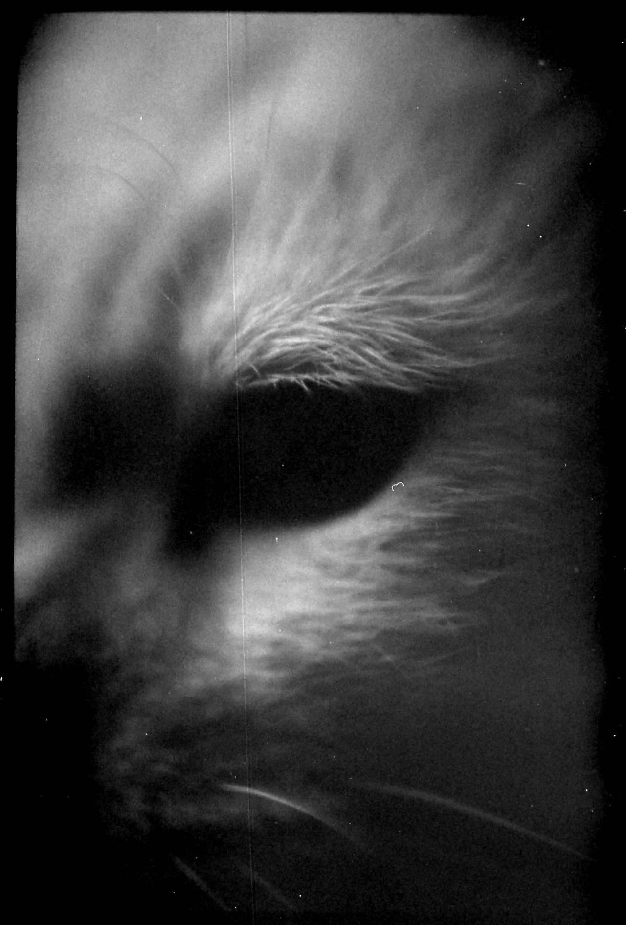 auxiliofaux:

further landscapes
Pentax K1000
© Auxiliofaux, 2012