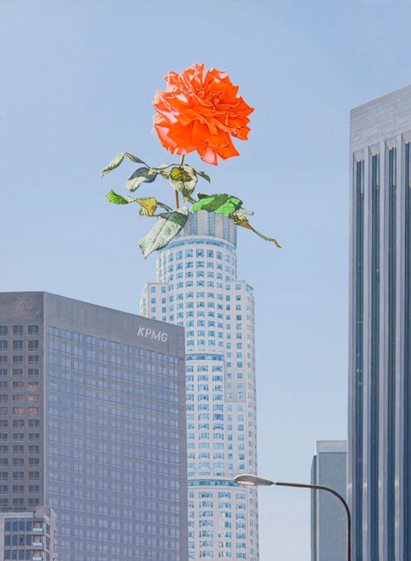 pulmonaire:

Painting by Doug Webb