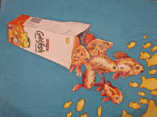 @graciarageberg oh my god you need this