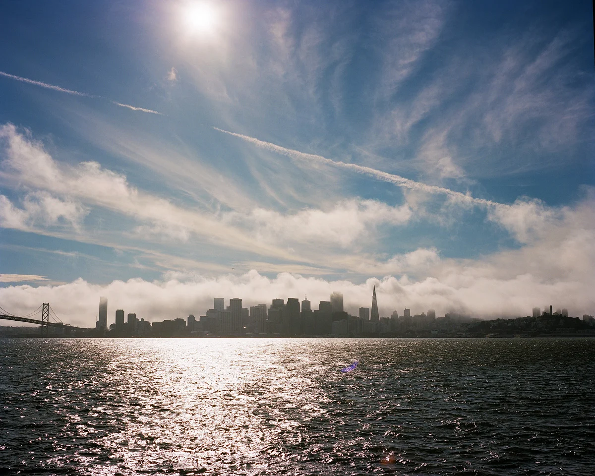 googlephonics:

THE FOG MONSTER.
From the last roll I shot with my Mamiya 7II, which now belongs to the talented Anjali Pinto.
Mamiya 7II, 80mm f4, Portra 160.