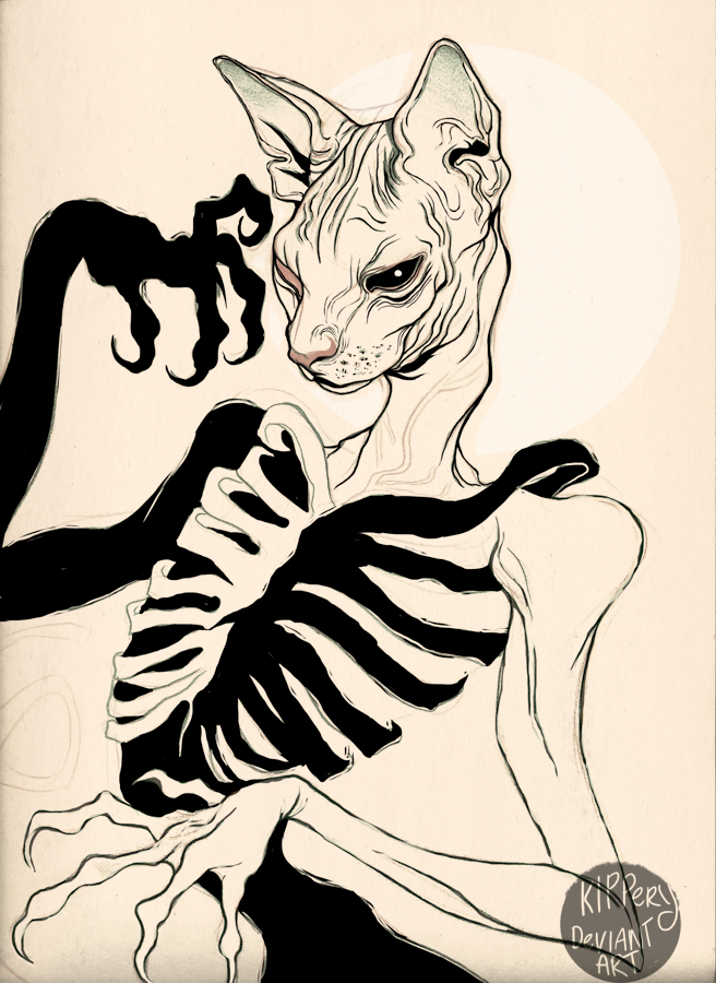 tumblr_ltnmx7S1KZ1qkd5cdo2_1280.png