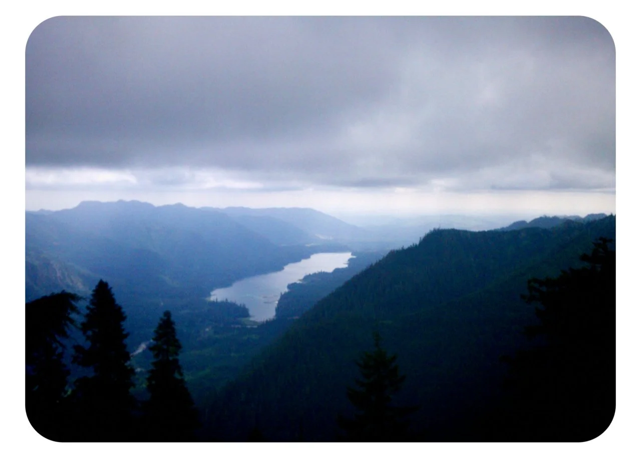 nativeofthesun:

Last view of the Wynoochee, from above, while hiking out of Klone Lakes.