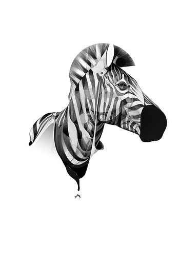 pulmonaire:

Zebra (by HelloVon)