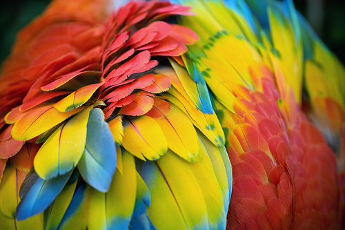 the-iridescence:

(by Dr. GORI ( PJr.))