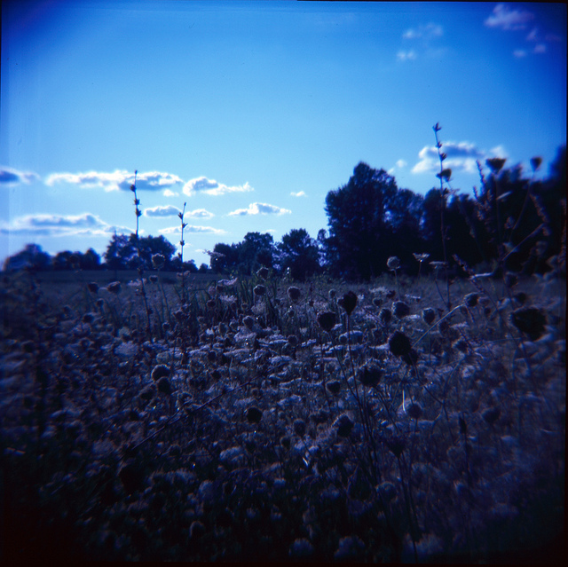 lldn:

tmax14 on Flickr.
Fields