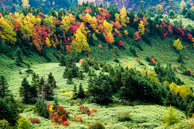 bavarde:

never-never land (by takay)