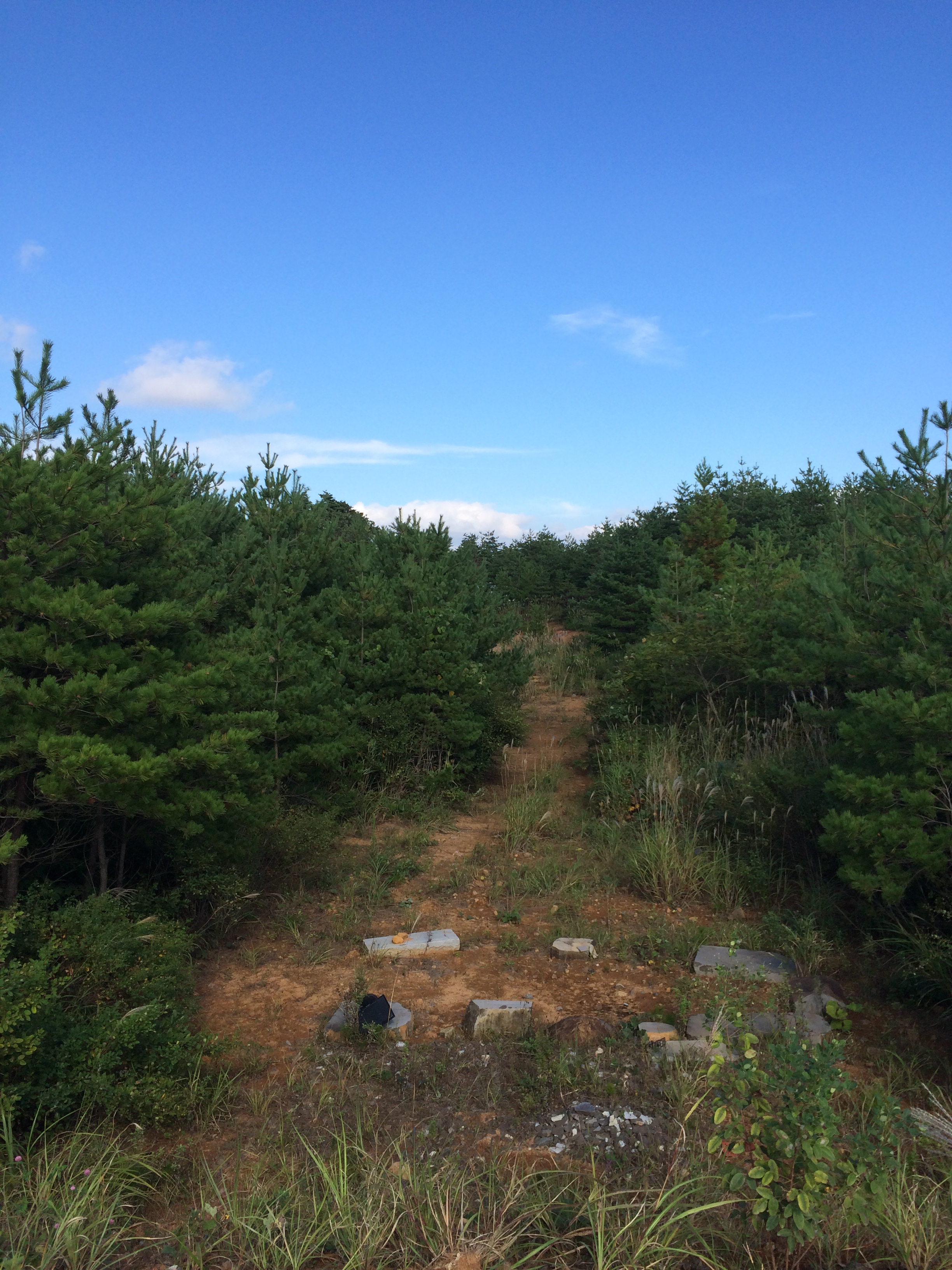  小高い山の上に建つ、自然を鑑賞するための休憩小屋です。 2015年8月竣工 