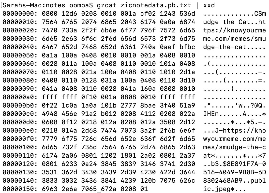 notes_gzip_xxd.jpg