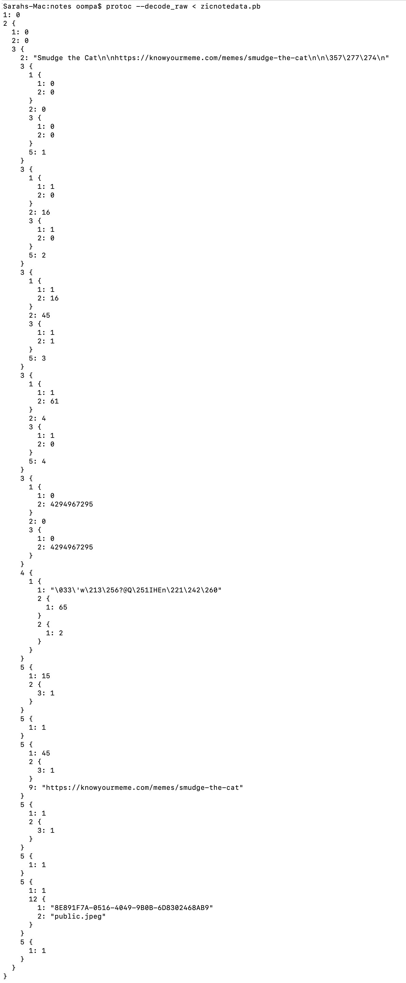 notes_pb_protoc.jpg